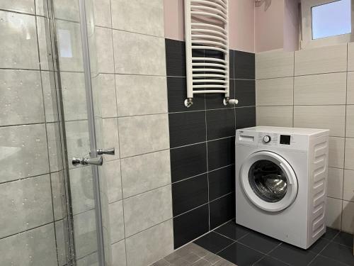 a washing machine in a bathroom with a shower at Dom Tkacki - Apartamenty - Pokoje - Jacuzzi in Kudowa-Zdrój