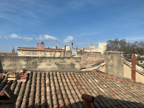 a view of the roofs of an old building at Superbe Appartement Intramuros in Avignon