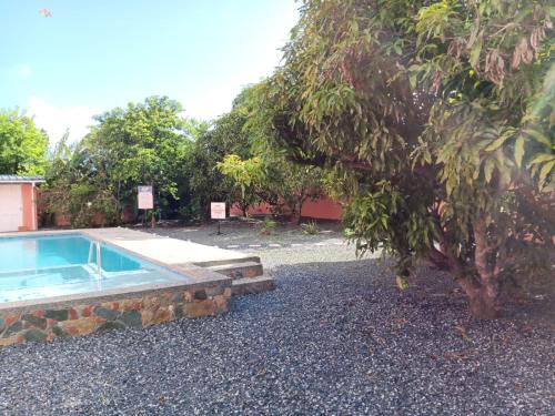 una piscina junto a un árbol junto a una casa en JGs Tropical Apartments, en Crown Point
