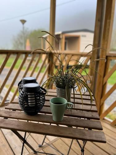 einen Holztisch mit einer Tasse und Pflanzen auf einer Veranda in der Unterkunft Camping De la vallée in Durbuy