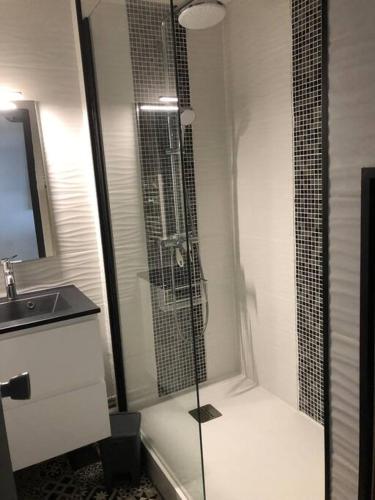 une salle de bain avec une douche en verre avec un lavabo dans l'établissement Magnifique Appartement t2, au Barcarès