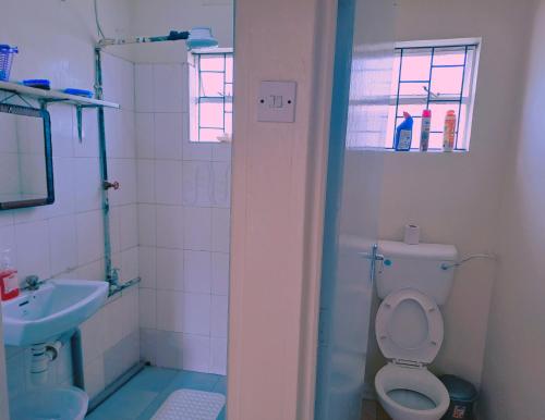 a bathroom with a toilet and a sink at Twende Nanyuki Homes in Nanyuki