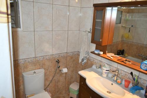 a bathroom with a toilet and a sink and a mirror at Countryside Home in Gómfoi