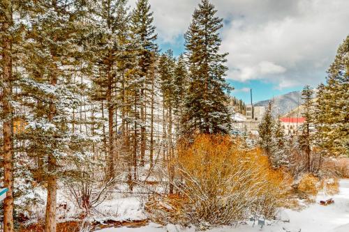 a group of trees with snow on them at Sierra Del Sol 36 in Taos Ski Valley