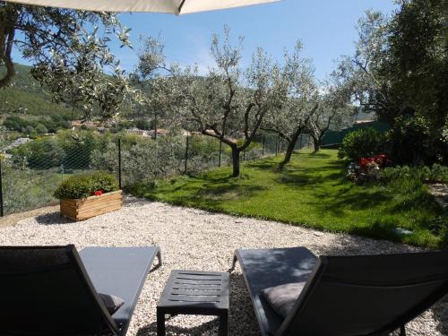 een patio met 2 stoelen en een gazon met bomen bij SCAPPO IN UMBRIA, la casa di Giuliana in Lugnano in Teverina