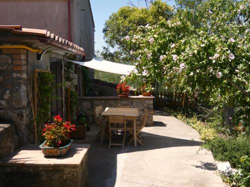 een patio met een tafel en bloemen in een tuin bij SCAPPO IN UMBRIA, la casa di Giuliana in Lugnano in Teverina