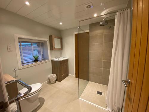 a bathroom with a shower and a toilet and a sink at Stone Cottage in Morpeth