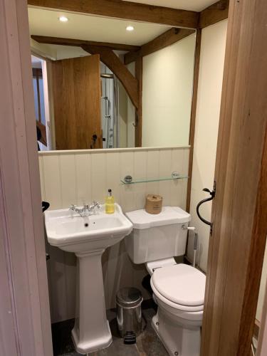 a bathroom with a toilet and a sink at Stable Cottage in Dorking