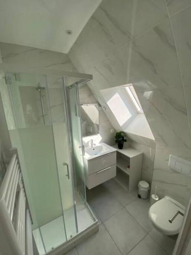 une salle de bain blanche avec douche et toilettes dans l'établissement Esprit New York ........ au cœur de Mulhouse, à Mulhouse