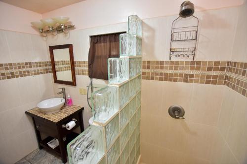 a bathroom with a sink and a shower with glass shelves at Caribbean Shores Belize in Hopkins