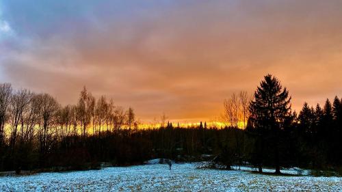 a snow covered field with trees and a sunset at Apartmán Bára in Cerny Dul