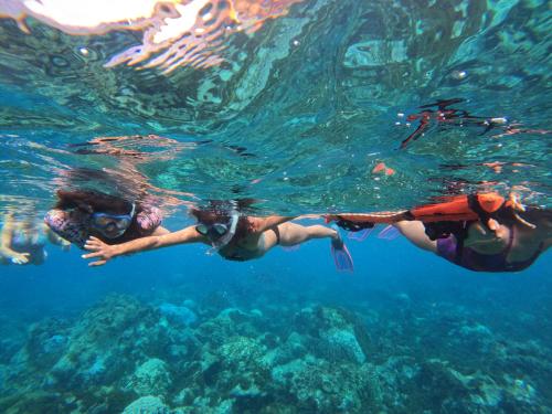Hosté ubytování Moehiva Camping Rapa Nui