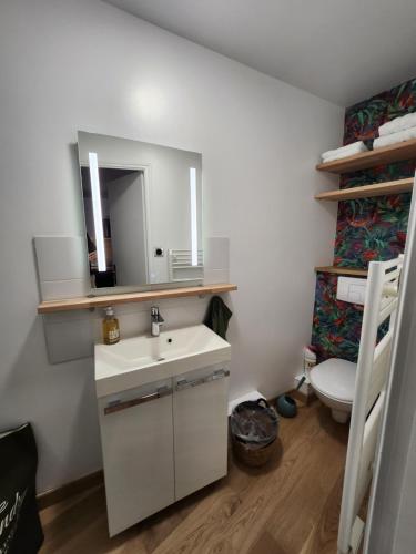 a bathroom with a white sink and a toilet at Le domaine de Bachmay in Laval