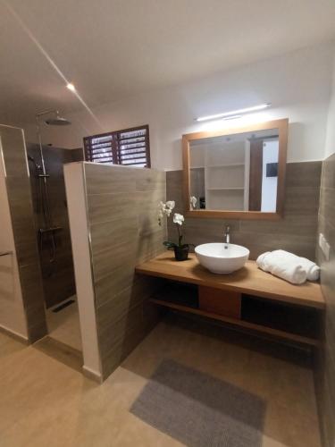 La salle de bains est pourvue d'un lavabo, d'un miroir et d'une douche. dans l'établissement Casa Shambala B&B, à Las Terrenas