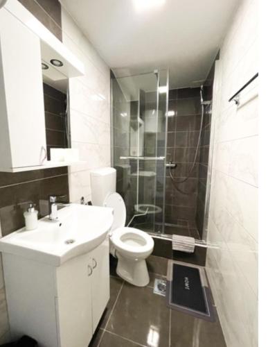 a bathroom with a toilet and a sink and a shower at Apartman Tijana in Pale
