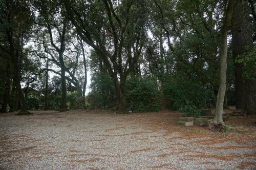 Φωτογραφία από το άλμπουμ του Agriturismo la Romanella σε Viterbo