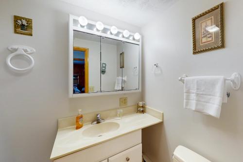 a bathroom with a sink and a mirror at Life's A Bear in McHenry