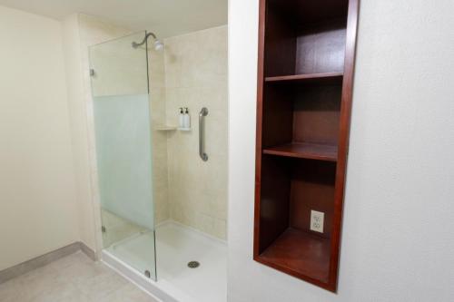 La salle de bains est pourvue d'une douche avec une porte en verre. dans l'établissement Hampton Inn by Hilton Guadalajara-Aeropuerto, à Guadalajara