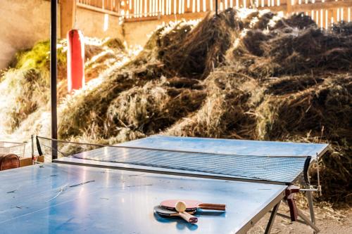 Stolný tenis v ubytovaní Burgerhof alebo v jeho okolí