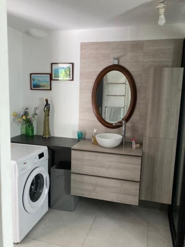 une salle de bain avec un lavabo et une machine à laver dans l'établissement Autour des palmiers, à Le Tampon