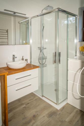 a bathroom with a glass shower and a sink at Walters Appartment - Wohfühlurlaub für Mensch und Hund in Anif