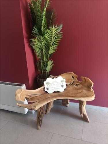 une table en bois avec une plante au-dessus dans l'établissement Maison 6p & jardin près de la mer et l'Espagne, à Corneilla-del-Vercol