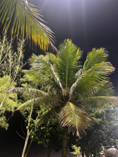 eine Gruppe von Palmen mit dem Himmel im Hintergrund in der Unterkunft Casarão Ilha de Itacuruça in Mangaratiba