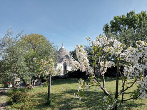uma macieira em frente a uma casa com árvores em Trulli Manuela (il fragno) em Locorotondo