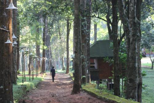 a man walking down a path through a forest at 900 Woods Wayanad Eco Resort - 300 Acre Forest Property Near Glass Bridge in Meppādi