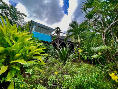 a blue camper van in the middle of plants at Villa Orsalina Pointe Batterie in Deshaies
