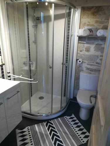 une salle de bain avec douche et toilettes dans l'établissement Le Rhône à vos pieds, Bellecour à quelques pas, à Lyon