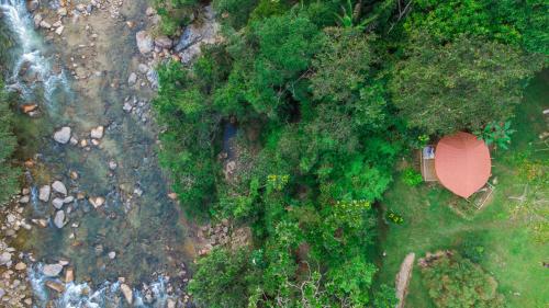 an overhead view of a house in a forest at La Perla Negra - Black Pearl Eco Hostel in San Rafael