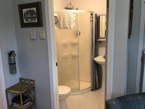 a bathroom with a shower and a toilet and a sink at Telco House B&B in Port Hardy
