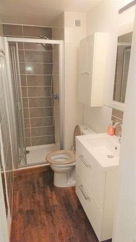 une salle de bain avec une douche, des toilettes et un lavabo dans l'établissement Mazet Font Mourier- Gassin_Golfe de Saint-Tropez, à Gassin