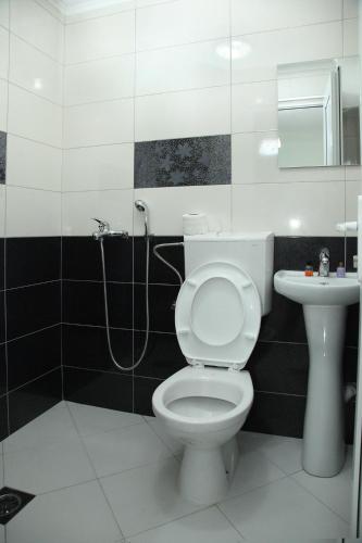 a bathroom with a toilet and a sink at Apartmani Alex Beach in Star Dojran