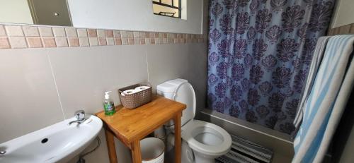 a bathroom with a sink and a toilet and a table at Maun Luxury Oasis in Maun