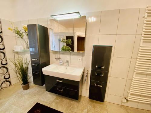 W łazience znajduje się umywalka i lustro. w obiekcie Daisy w mieście Warnemünde