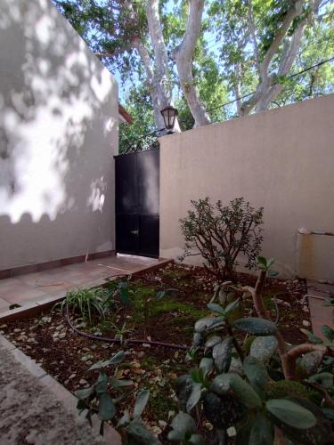a black door in a wall with a tree at Hostel Terminal in Barraquero