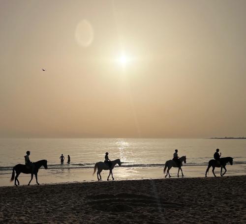 a group of people riding horses on the beach at La Terraza de Porvenir 10 - Jerez de la Frontera in Jerez de la Frontera