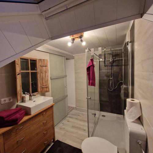 a bathroom with a shower and a toilet and a sink at Bei Conny und Bernd in Barnstorf
