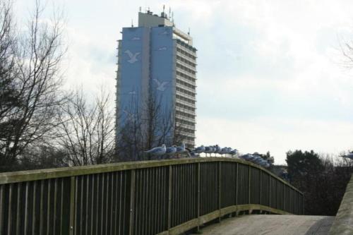 a group of birds sitting on a bridge with a tall building at Ferienwohnung K1405 für 2-4 Personen mit Ostseeblick in Schönberg in Holstein