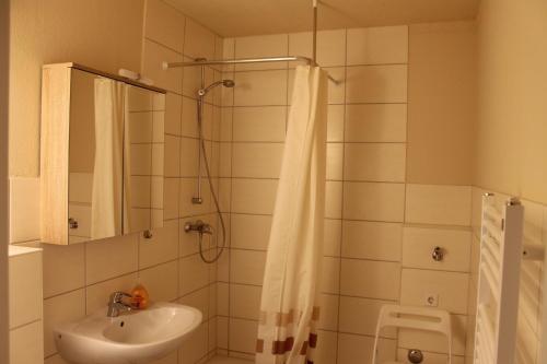 uma casa de banho com um lavatório e um chuveiro com um espelho. em Ferienwohnung L354 für 2-5 Personen an der Ostsee em Schönberg in Holstein