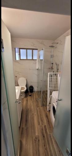 a bathroom with a toilet and a sink at kasa or in Herzliya