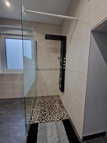 a bathroom with a shower with a glass door at Best in Hombourg-Haut