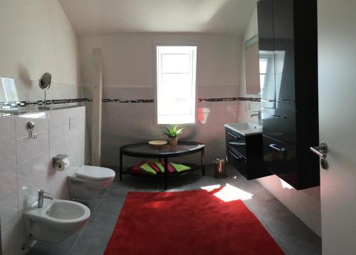 a bathroom with a toilet and a sink and a red rug at Seeblick 2 in Dahme