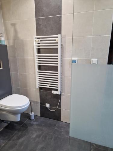 a bathroom with a toilet and a shower at Best in Hombourg-Haut