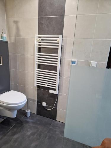a bathroom with a toilet and a shower stall at Best in Hombourg-Haut