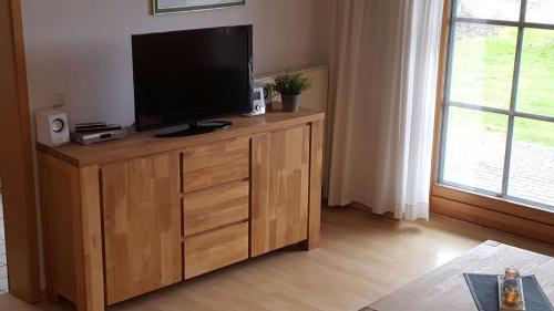 een televisie op een houten kast in een woonkamer bij Jacobihof Haus 3 Wohnung 01 in Dahme