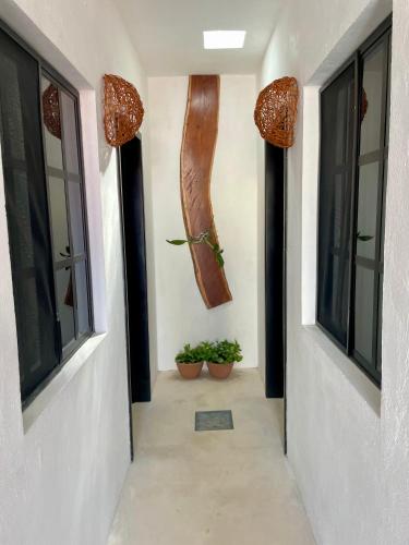 a hallway with two windows and two potted plants at Hotel AKBAL Holbox in Holbox Island