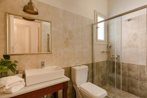 een badkamer met een toilet, een wastafel en een douche bij ROSEPETRA in Fiskardho